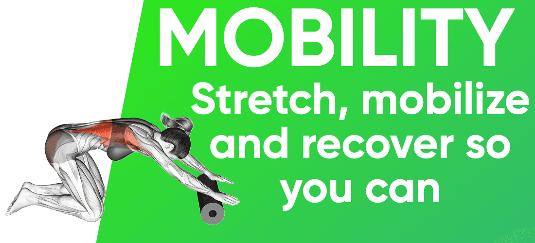 Mobility programs